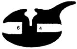 KL 0954 - stabilizing EPDM profiles - Stabilizing and stretcher profiles KL 0954 - stabilizing EPDM profiles - Stabilizing and stretcher profiles
