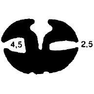 1B= 25 m KL 0263 - stretcher EPDM profiles - Stabilizing and stretcher profiles 1B= 25 m KL 0263 - stretcher EPDM profiles - Stabilizing and stretcher profiles
